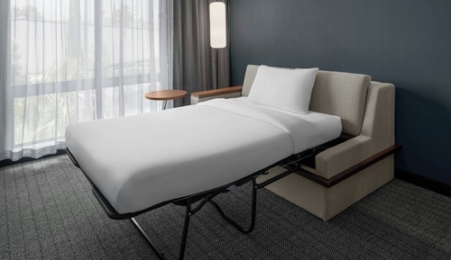 Room, 1 King Bed with Sofa bed