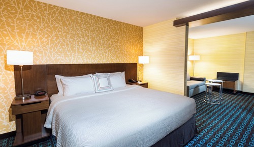 Suite, 1 King Bed with Sofa bed, Hearing Accessible (Roll-in Shower & Transfer Shower)