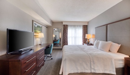 Suite, 1 King Bed with Sofa bed, Non Smoking