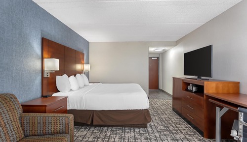 Standard Room, 1 King Bed, Non Smoking, Refrigerator (with Sofabed)
