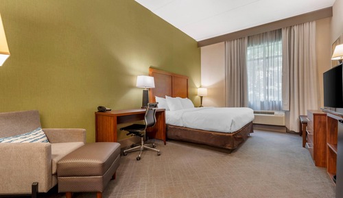 Room, 1 King Bed, Accessible, Non Smoking