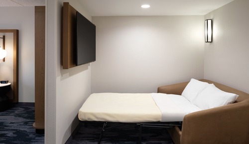 Suite, 1 King Bed with Sofa bed, Hearing Accessible, Mountain View