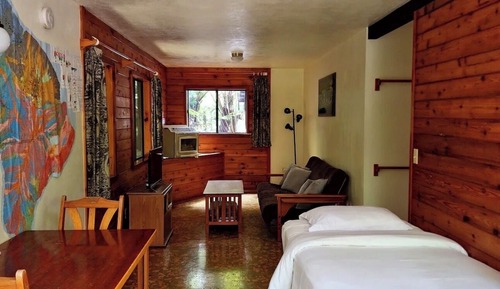 The Gecko Room