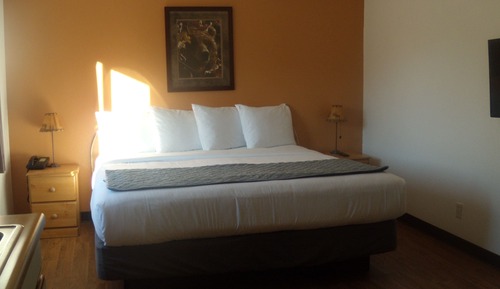 Single King Room (Pet Friendly)