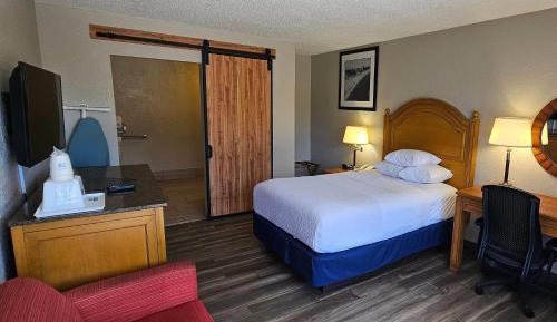 1 King Bed, Mobility/Hearing Accessible Room, First Floor, Non-Smoking