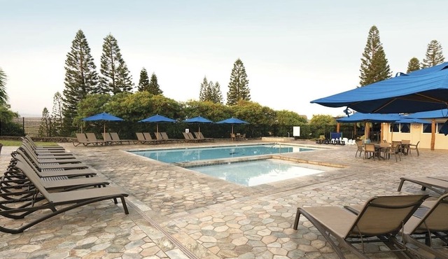 Luxury 2 Bedroom & 2 Bathroom Unit with Full Amenities